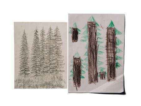 Kaksi piirustusta vierekkäin. Oikealla lapsen piirtämiä puita, vasemmalla hieman edistyneemmän piirtäjän piirtämiä puita. 