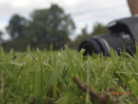 Maan tasosta otettu kuva nurmikosta. Vähän matkan päässä nurmikolla on järjestelmäkamera. Alareunassa on päiväys "2020/08/11". 