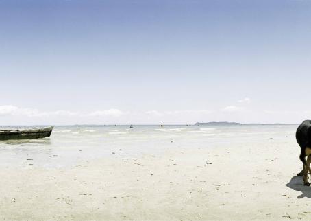 Maisemakuva hiekkarannalta. Rannassa on vene ja koira. 