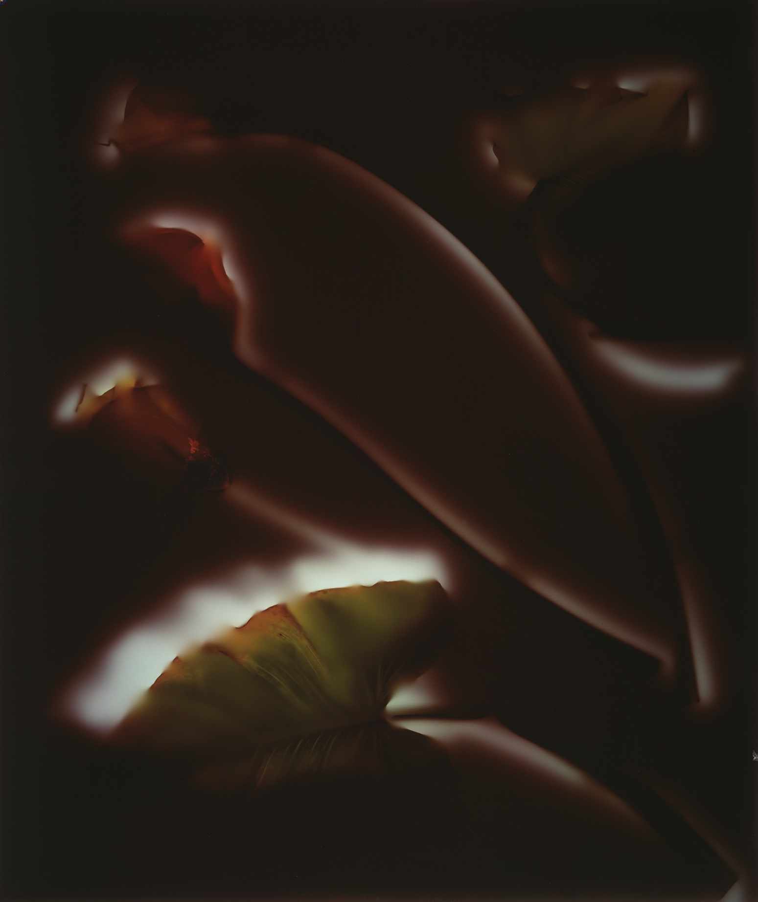Marjukka Vainio: osa teoksesta Hommage à Ester Helenius, 1990. Hopea-värivalkaisuvedos. Suomen valokuvataiteen museo.