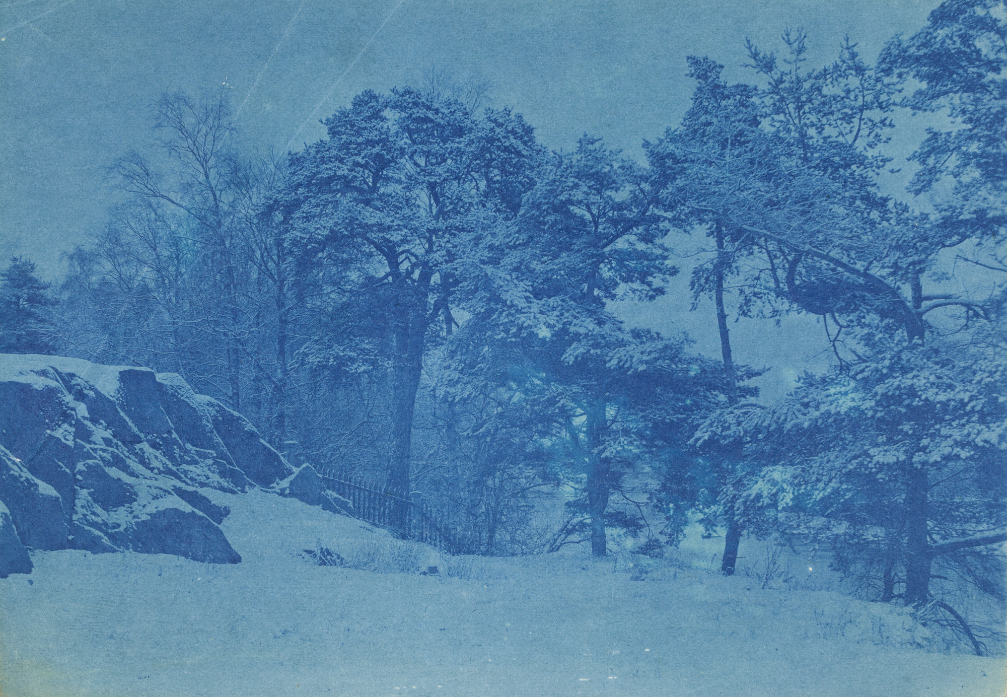 Snowy landscape with trees and a rock. The entire image is blue.