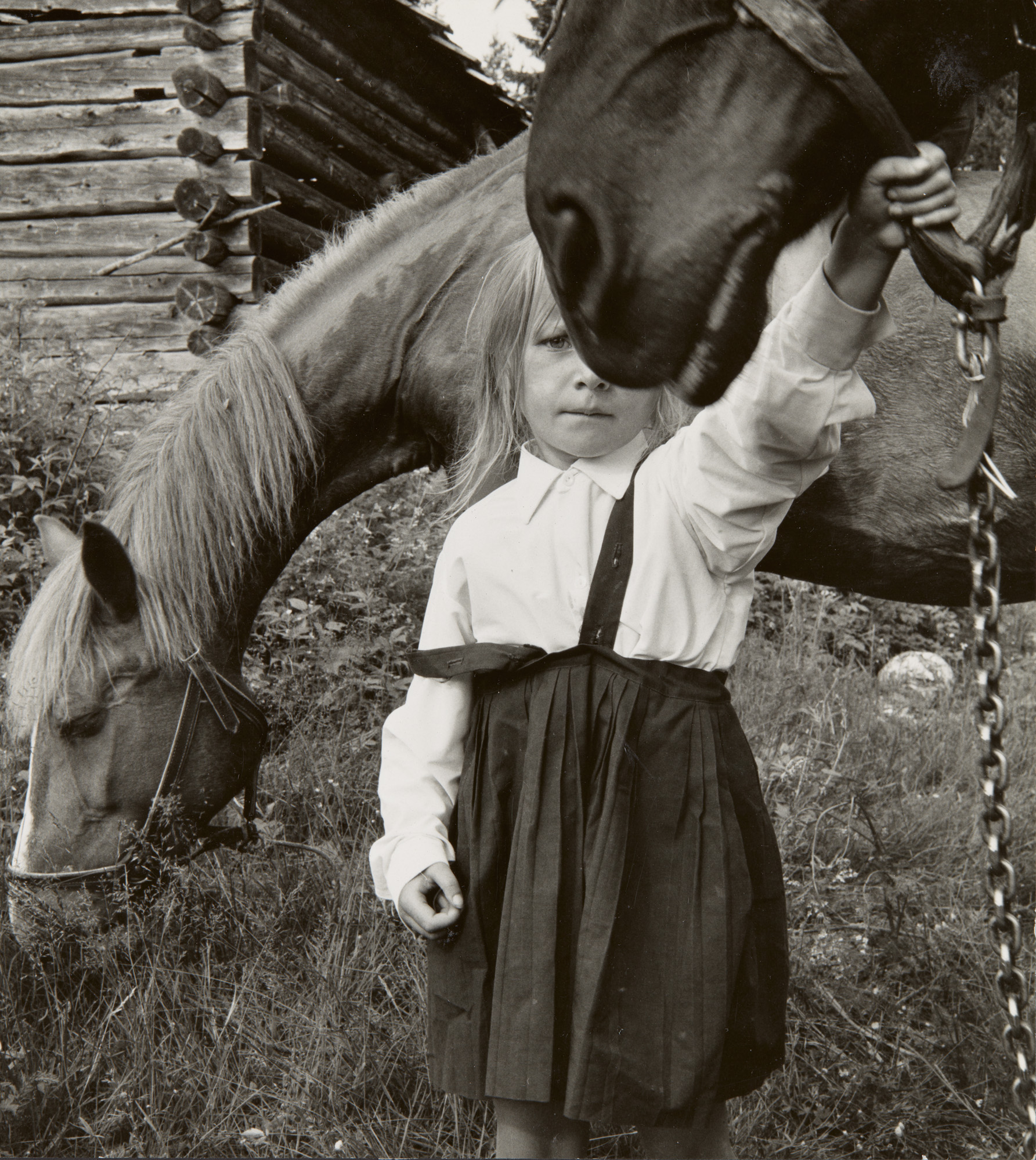 Pieni tyttö puolikuvassa kahden hevosen välissä niityllä. Toisesta hevosesta näkyy kuvassa vain turpa, ja tyttö pitää kiinni hevosen suitsista. Toinen hevonen syö heinää maasta tytön takana. Tytöllä on yllään valkoinen kauluspaita ja musta liivihame. Taustalla näkyy hirsirakennuksen nurkka.