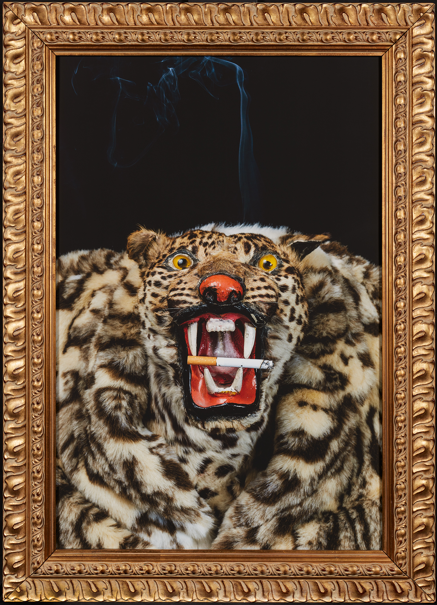 Absurdissa asetelmaskuvassa on kuvattuna suoraan edestä leopardintalja, jonka tekohampaiden välissä on tupakka. Kuvassa on koristeelliset kultaiset kehykset.