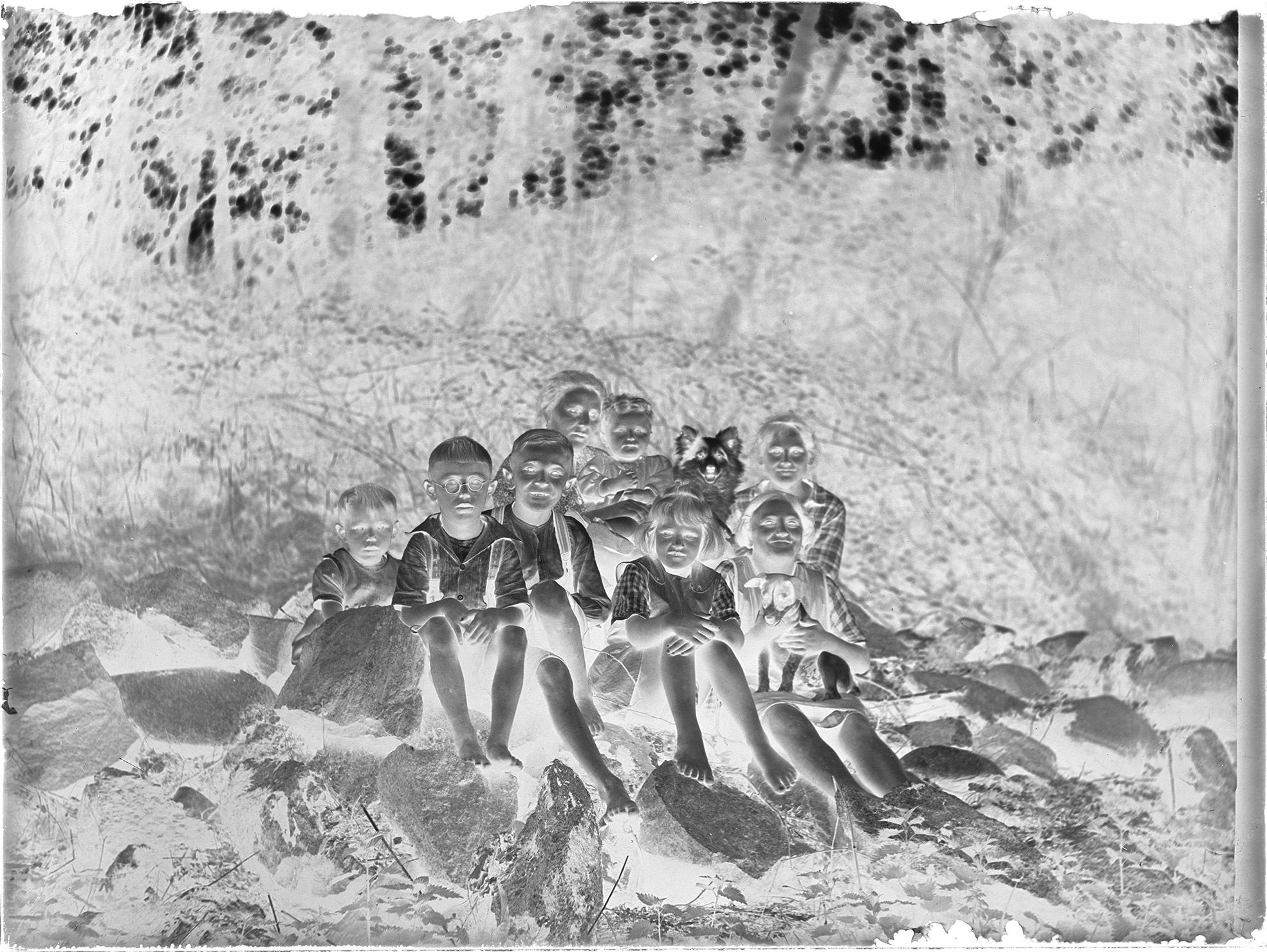 Lasinegatiivikuva lapsiryhmästä metsässä.