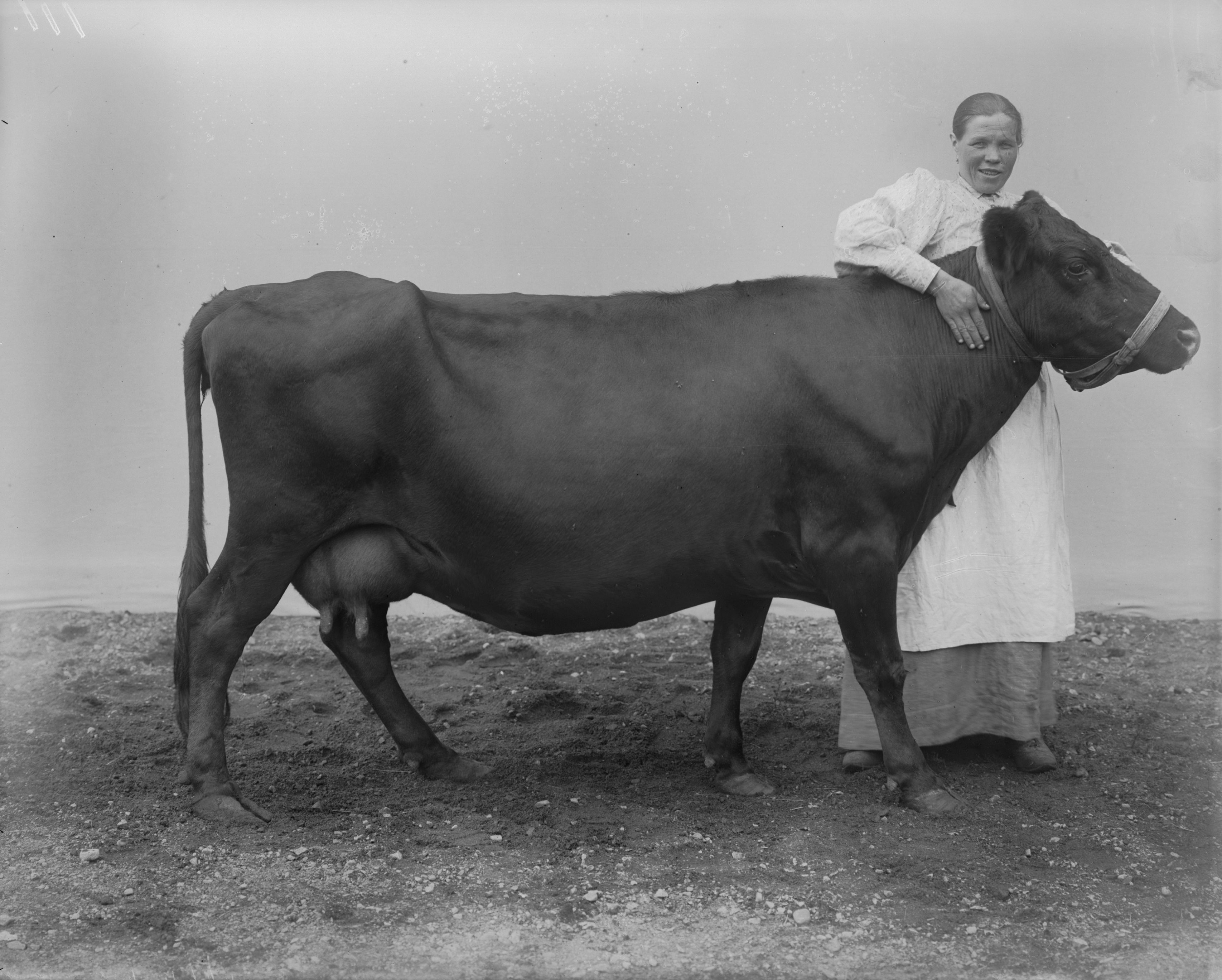 I. K. Inha, sarjasta Suomen maatalous, 1899. Digitoitu alkuperäisestä negatiivista. Suomen valokuvataiteen museo.