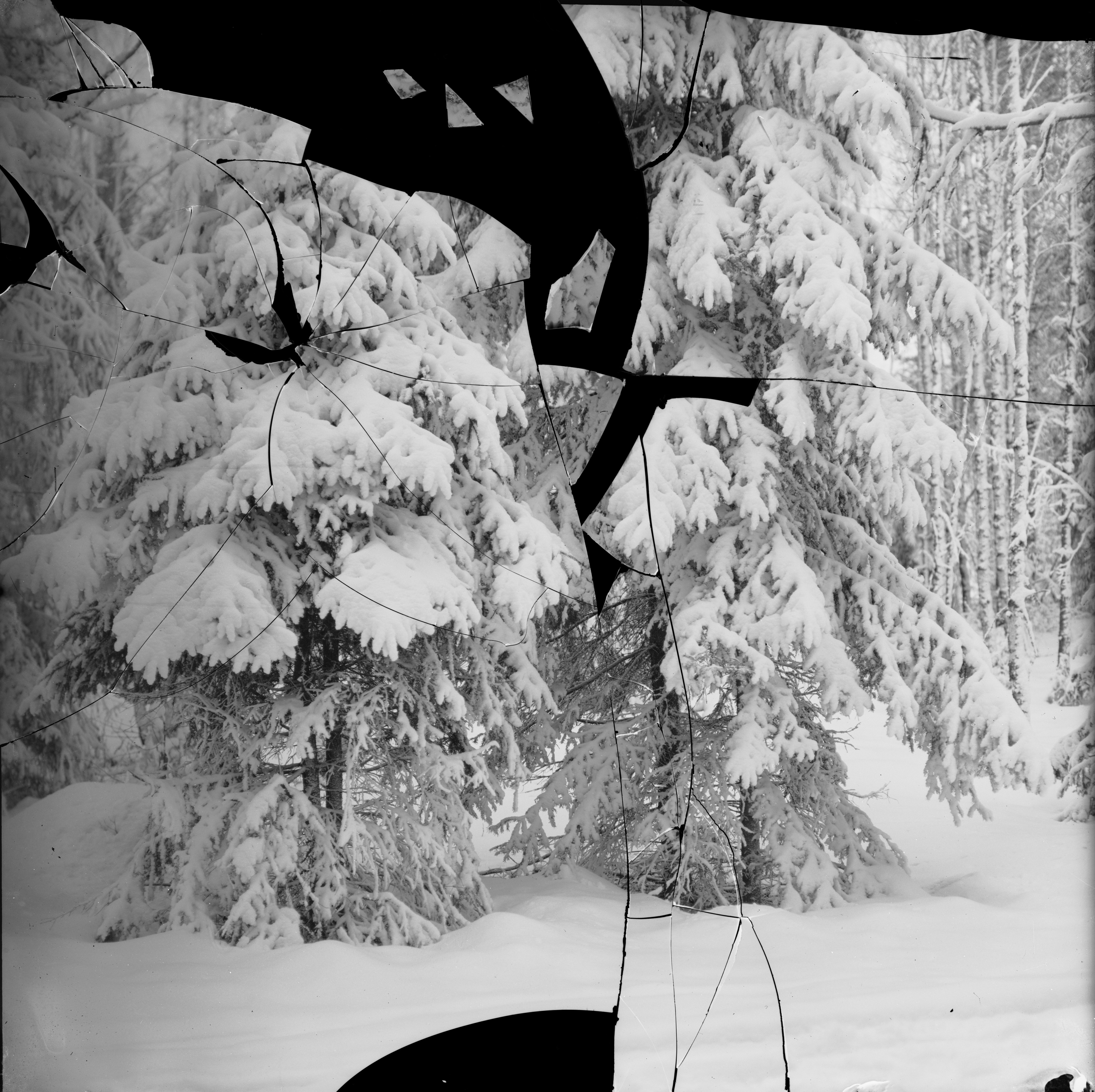 Kirjekuoresta rikkonaisena löytynyt I. K. Inhan lasinegatiivi talvisesta maisemasta. Palaset järjesti konservaattori Laura Sallas vuonna 2011, Suomen valokuvataiteen museo.