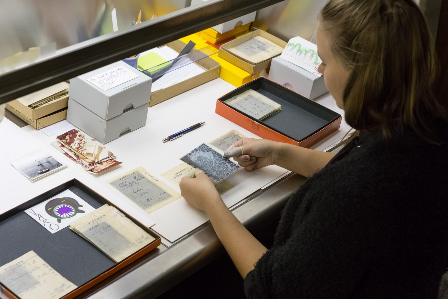 Museon konservaattori Karoliina Valli työskentelee Pietisen kokoelman negatiivien parissa. Kuva: Virve Laustela / Suomen valokuvataiteen museo