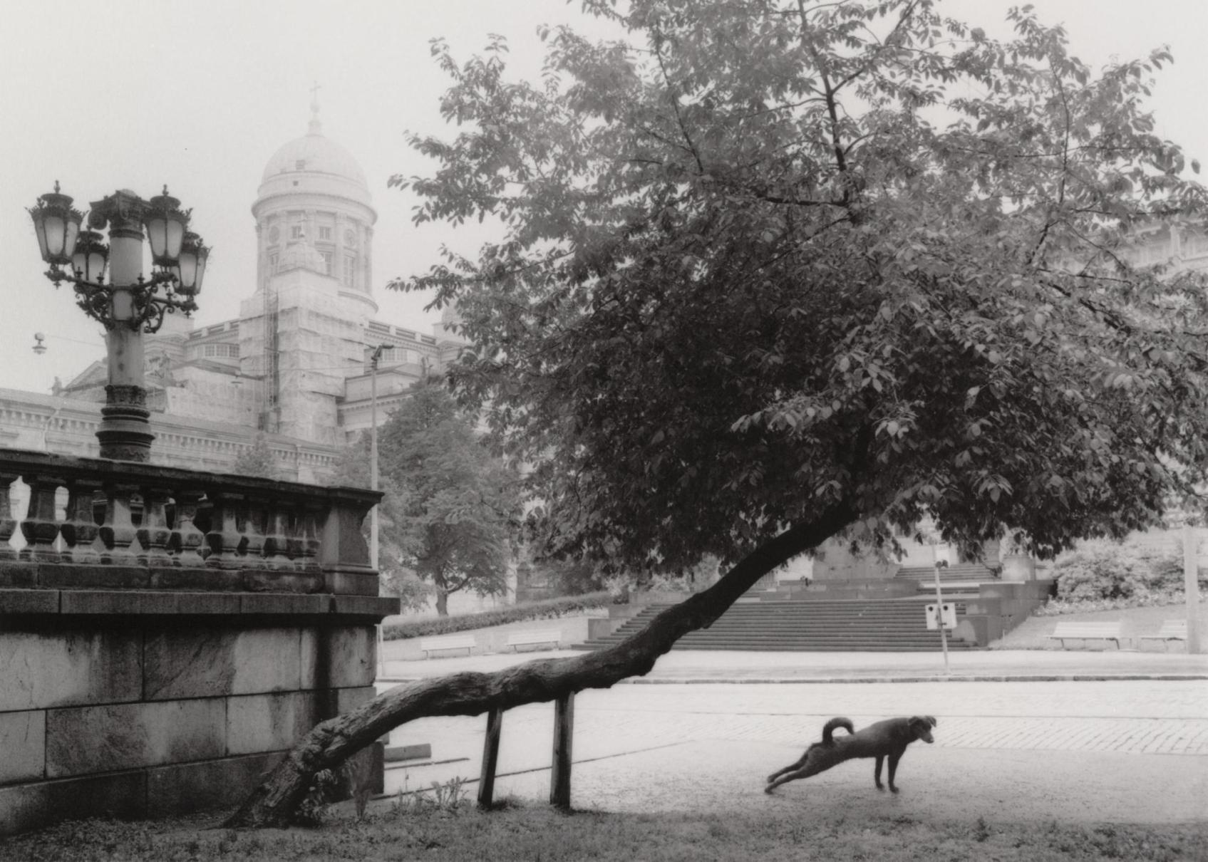 Pentti Sammallahti: Helsinki, Suomi, 1982
