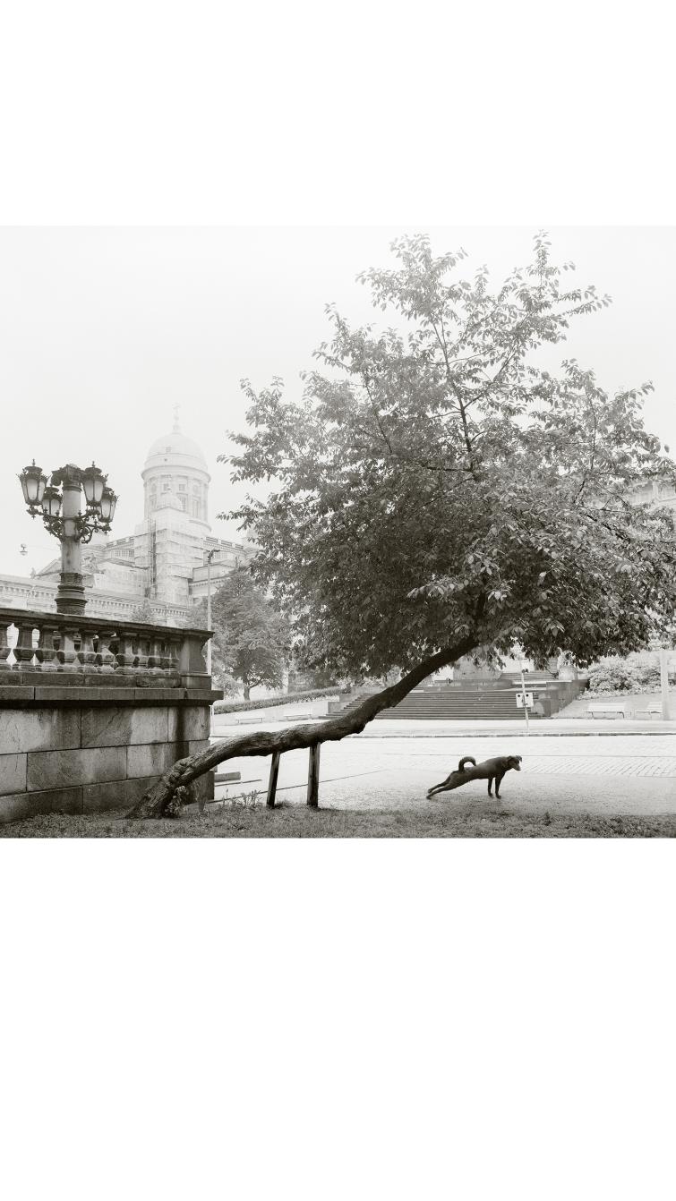 Pentti Sammallahti: Helsinki, 1982.