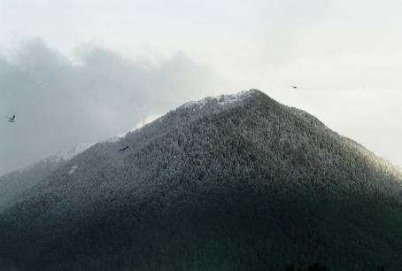 Maisema, jossa metsäinen vuori tai tunturi. Kolme lintua lentää sen ympärillä.