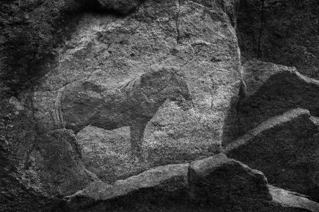 Mustavalkoisessa kuvassa kallliossa on tumma kuva hevosesta. 