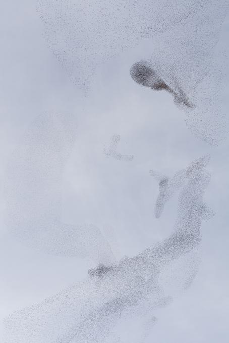 Daniela Friebel, from the series Auspicia
