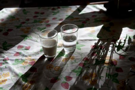 Mansikkakuvioisella pöytäliinalla on vierekkäin kaksi lasia, joista toinen on puolillaan maitoa ja toinen puolillaan vettä. Valo tulee matalalta ja tekee lasien ja kuvan ulkopuolella olevan kasvin varjoista pitkiä ja tummia.