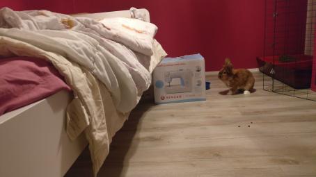 Vasemmalla on sänky, josta peitto roikkuu reunan yli. Lattialla sängyn vieressä on ompelukoneen laatikko. Lattialla on myös pieni ruskea kani, ja sen vieressä näkyy häkkiä.