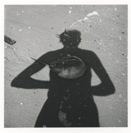 Vivian Maier, 1954. © Estate of Vivian Maier, Courtesy of Maloof Collection and Howard Greenberg Gallery, NY. Mustavalkoisessa kuvassa näkyy ihmisen varjo hiekkarannalla. Keskellä varjoa on jonkinlainen pyöreä merenelävä, josta tulee terävän näköinen piikki.