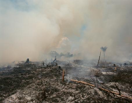 Lähes maan tasalle palanut alue, joka on oletettavasti ollut aiemmin metsää. Maasta nousee edelleen sakeana savua.