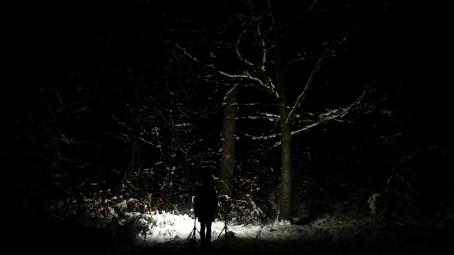 Tumma, luminen maisema. Keskellä valonheittimet valaisevat lumista maata ja puita.