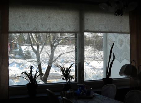 Kaksi isoa ikkunaa, joiden ulkopuolella näkyy lumista maisemaa. Ikkunoiden sisäpuolella on viherkasveja.