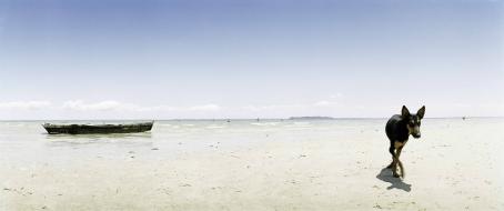 Maisemakuva hiekkarannalta. Rannassa on vene ja koira. 