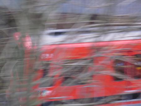 Epäterävässä kuvassa punainen metro ajaa puiden oksien takana. 