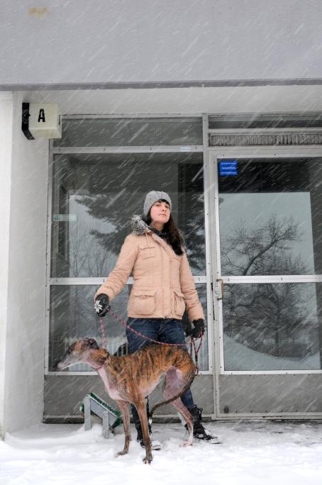 Nainen seisoo koiran kanssa lumisateessa ulko-oven edessä. 