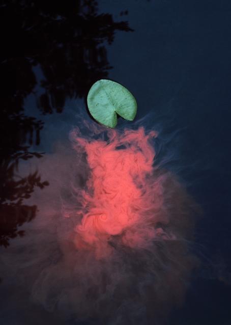 Veden pinnalla on yksi vihreä lumpeenlehti. Sen vieressä on punaista ainetta, kuin savua, joka on levinnyt veteen. 