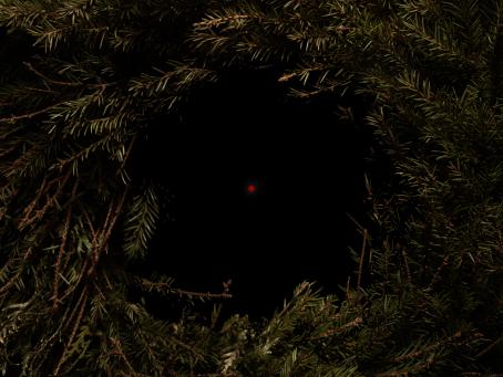 Reunoilla on kuusenoksia ympyrässä, ne jättävät keskelle mustan ympyrän jonka keskellä on pieni punainen piste.