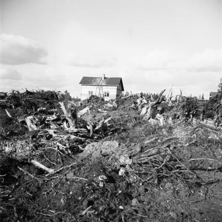 Asutustila puoliksi raivattuine peltoineen jossakin Pohjois-Karjalassa tai Savossa. Sanomalehtimiesten retkikunta vietiin tutustumaan siirtolaisten oloihin syyskuussa 1947.