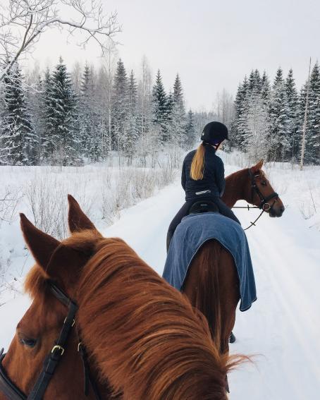 Ratsastajia lumisessa maastossa. Etualalla näkyy ruskea hevosen pää, kuvaaja on tämän hevosen selässä. Edellä on toinen ruskea hevonen, jonka selässä istuu pitkähiuksinen henkilö mustassa takissa ja musta kypärä päässä. Tie on luminen ja taustalla näkyy lumista metsää. 