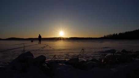 Luminen aava maisema, pelto tai järven jää. Kaukana näkyy kaistale metsää, aurinko on juuri ja juuri metsän yläpuolella. Jäällä tai pellolla kävelee ihminen ja koira, jotka näkyvät pelkkinä siluetteina. Etualalla on lumen peittämiä kiviä tai lumi/jäälohkareita ja yksittäisiä heiniä. 