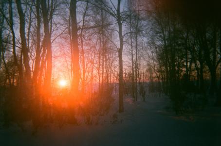 Hämärä metsämaisema. Maassa on lunta ja puut ovat lehdettömiä. Aurinko on juuri nousemassa tai laskemassa, ja sen ympärillä on haalea punainen ympyrä. 