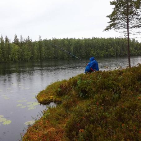 Insta_Suomi-tapaustutkimuksen aineistoa. Kuva: Irja Leino (@leino.irja), 19.7.2017. Suomen valokuvataiteen museo, D2018:89/1/6.