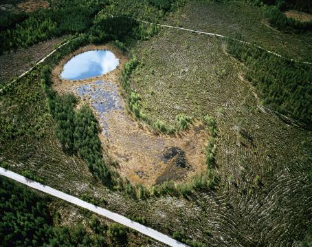 Ilmakuva hakatusta metsästä. Keskellä on suoalue, jonka reunoille on jätetty puita pystyyn. Suolla on pyöreä lampi. 