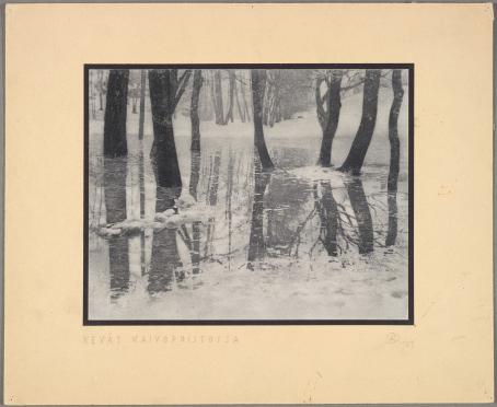 Mustavalkoisessa kuvassa puiden ympärillä on vettä ja loskaa tai lunta. Lehdettömät puut heijastuvat vedestä. Alareunassa on teksti "Kevät Kaivopuistossa". 