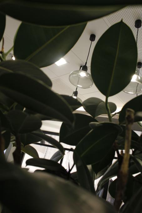 Etualalla muovisilta näyttäviä vihreitä kasvin lehtiä. Niiden takana katosta roikkuvia lamppuja.