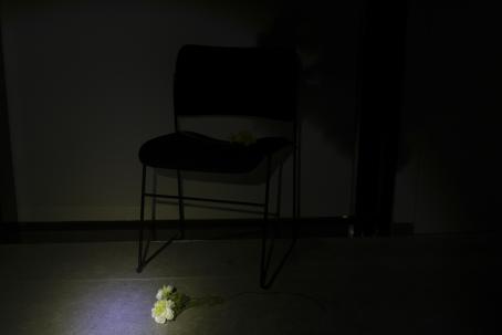 Hyvin tummassa kuvassa erottuu seinän vieressä oleva tuoli. Sen edessä lattialla on kukka, johon kohdistuu hailakka valokeila. Valo valaisee myös tuolia hieman. 