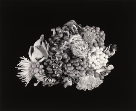 Saara Ekström, 2010: Excess and Ascesis. Valokuvagalleria Hippolyten kuvasalkusta Ikkuna. Suomen valokuvataiteen museo.