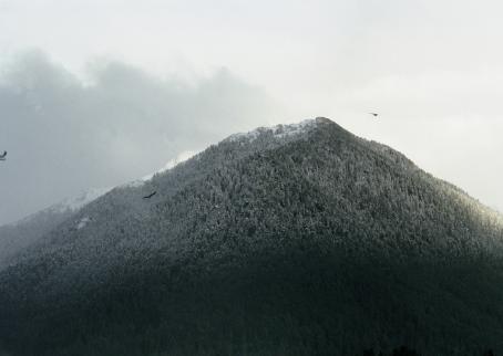 Maisema, jossa metsäinen vuori tai tunturi. Kolme lintua lentää sen ympärillä.