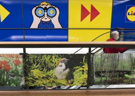  A fence made of glass next to an escalator in a shopping centre. There are big photographs attached to the glass. In the middle there is a photo of a bird on a branch of a spruce, on the right side there is a photo of a bridge in the woods and on the left side there is a photo of red flowers. 