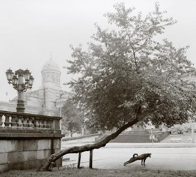 Pentti Sammallahti: Snellmaninkatu, Helsinki 1982