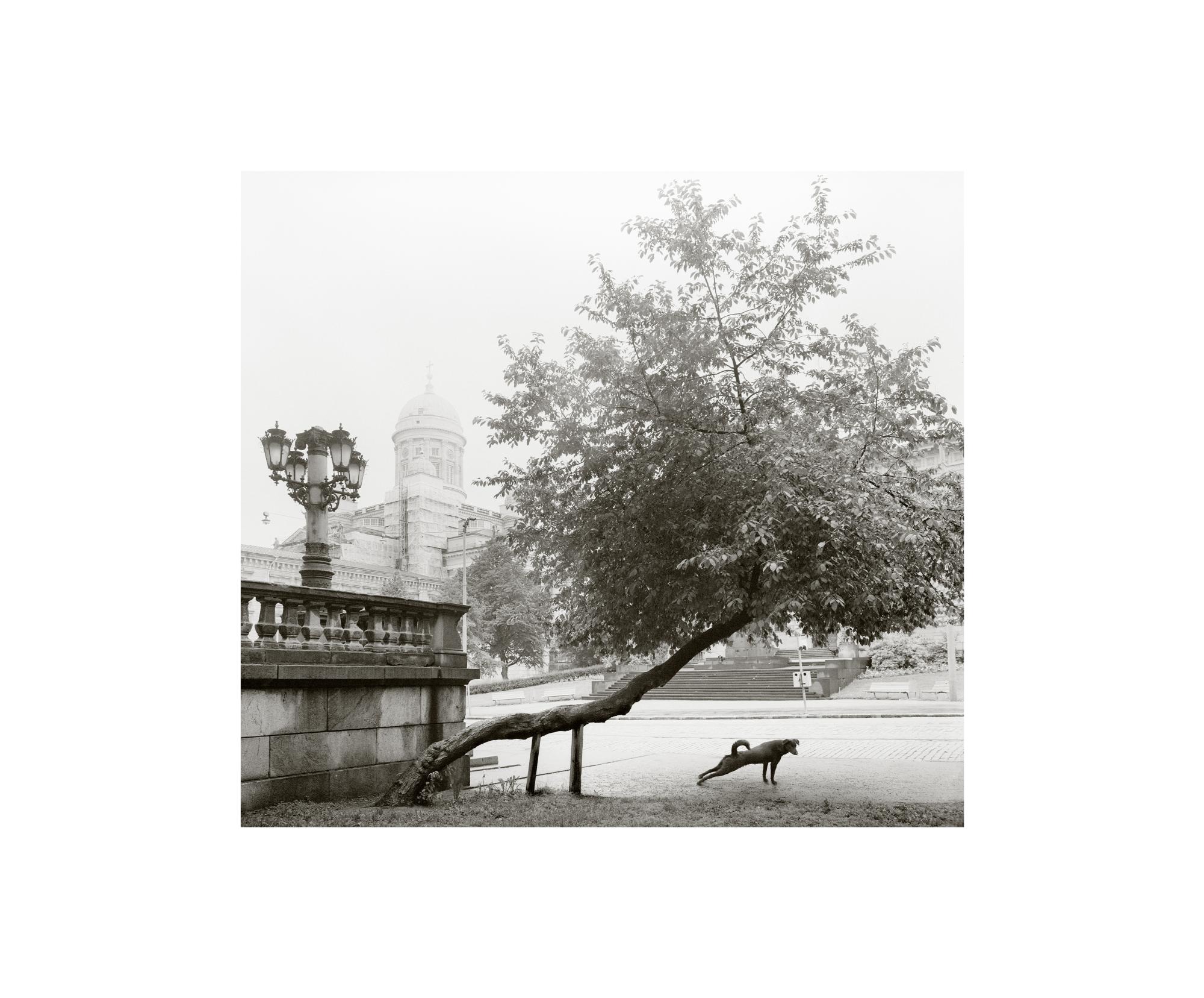Pentti Sammallahti: Helsinki, 1982.