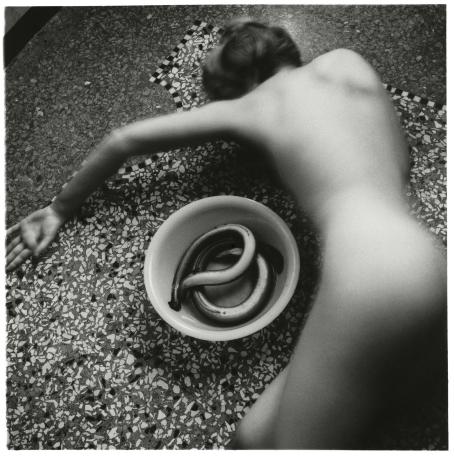 Francesca Woodman, From Eel series, Venice, Italy, 1978 © George and Betty Woodman Francesca Woodman, From Eel series, Venice, Italy, 1978 © George and Betty Woodman