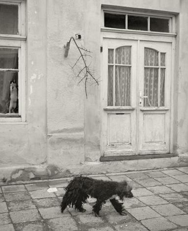 Belogradchik, Bulgaria, 2003