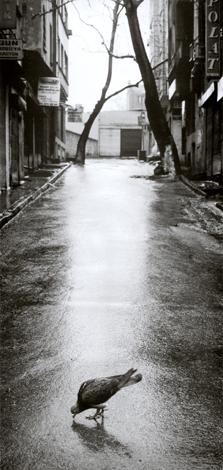 Istanbul, Turkey, 1996